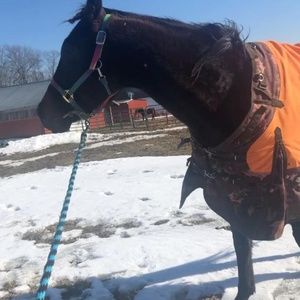 Meet your Posher, Liberty